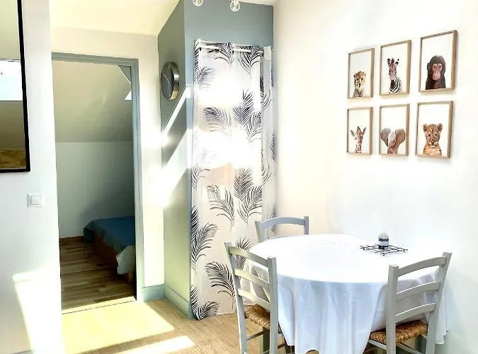 Apartament Safari In Heart Of And Beaches Cannes