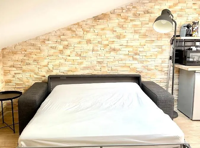 Safari In Heart Of And Beaches